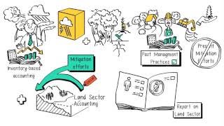 Illustrated video 4: Land sector accounting