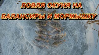 Окунь зимой. Ловля на балансир. Ловля на мормышку. Зимняя рыбалка 2019. Отчет о рыбалке