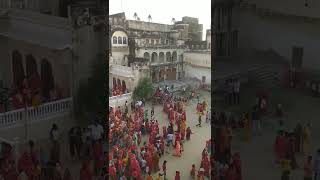 Gangaur festival in Rajasthan #shorts #mandawa #gangaurfestival