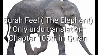 Surah Feel ( The Elephant)nly urdu translationChapter 105th in Quran