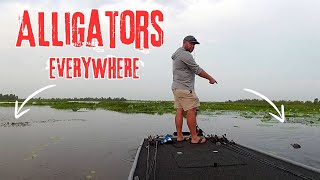 Frog Fishing in Alligator Infested Waters Bayou Black Louisiana