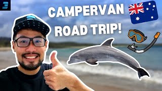 Pink Lake, Dolphin Experience and Snorkeling! - EPIC Campervan Road Trip Australia Episode #2