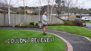 They tried to ruin my video!! // winter mowing, hedging, and garden fertiliser