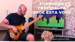 JelBass forró no baixo Lakland 5502 Forrozao Tropicalya onde está você tropicalya São Luiz