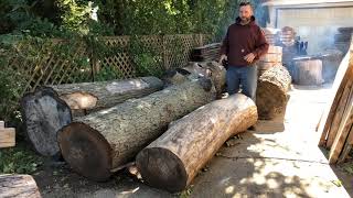 Chainsaw milling-What determines slab thickness?