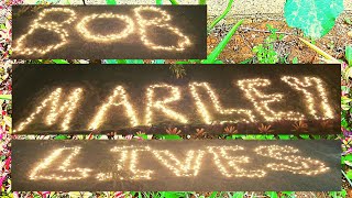 BOB MARLEY LIVES || HOW TO WRITE WITH FAIRY LIGHTS