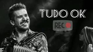 Tudo Ok - Luan Estilizado