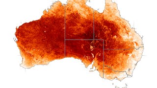 Australia's environmental data  - just one click away