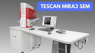 Tescan Mira3 SEM: basic imaging