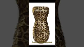 Women nightclub outfit leopard print mini dress #topwangfashion #fashion #ootd #leopardprint