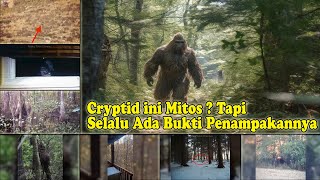 7 Rekaman Paling Meresahkan, Penampakan Mahluk Legendaris Bigfoot