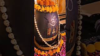 karpura gauram karunavataram meaning #ytshorts #youtubeshorts #viral #shortvideo #shorts #shiva