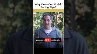 Why Does God Forbid Eating Pigs? #biblestudy #emanuelswedenborg #biblicalsymbolism