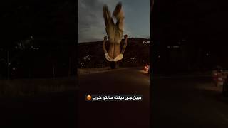 ببین چی میکنه حالتو خوب !؟😡🤯 #پارکور #vlogs #parkour