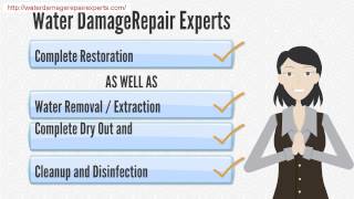 Wet Basement Repair,Rolling Meadows,IL,Chicago  (312) 646-4460 Emergency Services