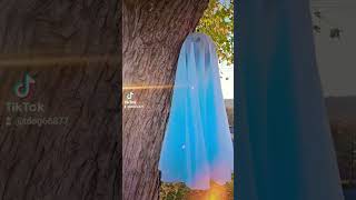 Blue Ghost Halloween Decor #hallowendecor #halloweendecoration #Halloween #samhainhalloween