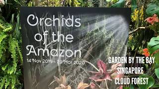 Orchid of the Amazon - Garden by the bay (Singapore)