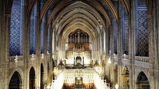 La Cathédrale d'Albi dévoilée, visite privée de sainte Cécile par son curé