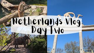 Netherlands Vlog Day 2 🇳🇱 | Trip to Rotterdam Zoo 🦒