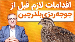 اقدامات لازم قبل از جوجه ریزی بلدرچین