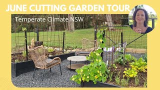 My first ever Cutting Garden Tour 🌼 Recovering from the floods & planning for the future!