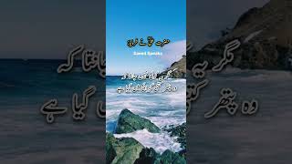 Hazrat Ali Quotes ❤️ Dukh Dena #shorts #youtubeshorts #viral #SaeedSpeaks #subscribe #hazratali