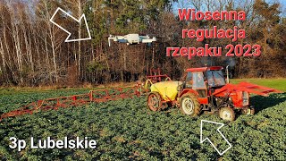 ☆Wiosenna regulacja rzepaku 2023!! Ursus C-360 & Pilmet ☆