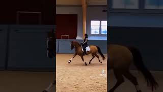 Видео не моё!#horse #рекомендации #хочуврек #конныйспорт #лошади #конники #чтобызалетело #эдит