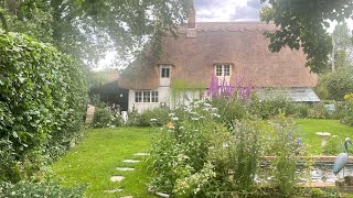 English cottage planting between rain  #englishcottage #garden #gardening #cottage