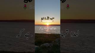 Hazrat Ali Quotes Maa Baap Ka Hukk #shorts #youtubeshorts #viral #short #saeedspeaks