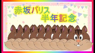 【半年記念雑談】赤坂バリス、もう半年になりました