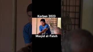 Program Korban 2023