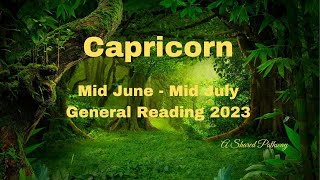 Capricorn Mid June July. Sometimes No Action Is The Best Action. Time to Declutter Your Life.