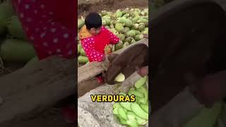 ¿Por qué los agricultores chinos están tirando vegetales en sus campos? 🥕🤔