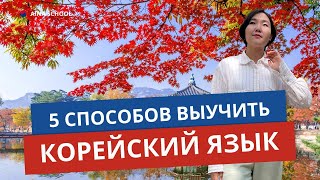 5 СПОСОБОВ выучить КОРЕЙСКИЙ ЯЗЫК. Мои СОВЕТЫ.