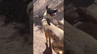 Temple Canyon Park, Redemption Trail, Canon City, Colorado.  Hidden Slot Canyon