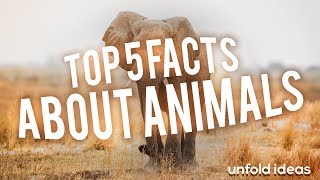 TOP 5 AMAZING FACTS ABOUT ANIMALS | MUST WATCH VIDEO FROM UNFOLD IDEAS