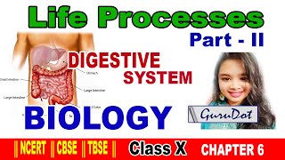 DIGESTIVE SYSTEM in HUMAN | CBSE Class 10 Science (Biology) | Part II (2020)