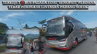 TERKEJUT‼️BUS PALALA EO.02"SENOPATI"PERDANA TEBAR PESONA DI LINTASAN PADANG SOLOK