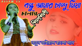 বন্ধু আমার চান্দু মিয়া চালায় পিলপিলি । Bandu Amar Chandu Miya Chalay Pilpili । নতুন । Assam Ts