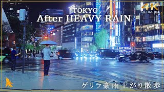 Tokyo Heavy rain  After Japan walk | ゲリラ豪雨 雨上がり- 2024/08[4K]