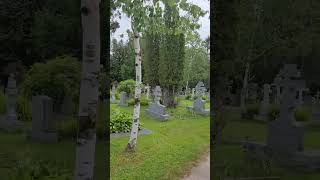 #30 16June2024 (#30.9) СвятоТроицкиймонастырь, Jordanville NY. Cemetery