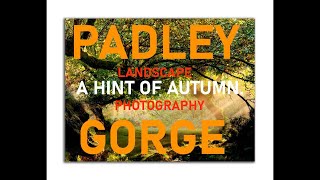 #Landscapephotography. Padley Gorge. A hint of Autumn.#NIKOND810