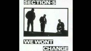 Section 5 - middle class kids