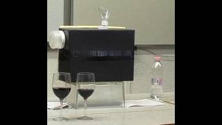 Wine vending machine attempt (How to make)