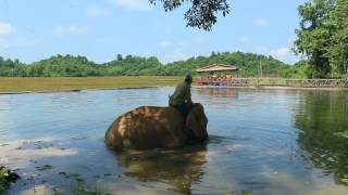 MaePing Bath