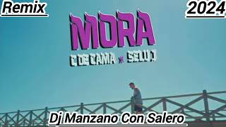 X De Cama x Seluj Mora - Remix - 2024 (Dj Manzano Con Salero)