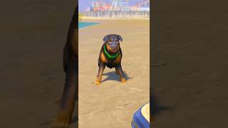 GTA V FRANKLIN DOG CHOP MADE NEW SHIP #shorts | Maheshwar Gamerz