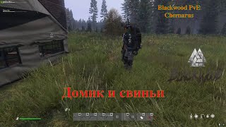 Blackwood PvE Chernarus   Домик и свиньи