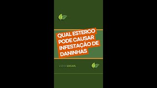 Qual esterco pode causar infestação de plantas daninhas